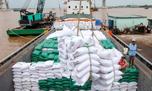 Xuất khẩu gạo năm 2020 đạt 6,15 triệu tấn. Ảnh: TTXVN
