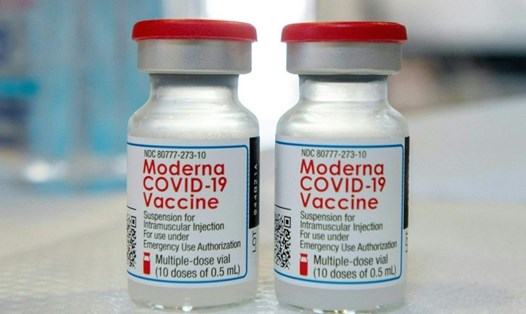 Vụ vaccine Moderna nhiễm tạp chất ở Nhật Bản có kết luận mới nhất. Ảnh: AFP