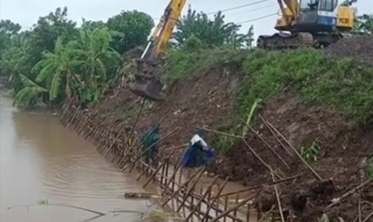 Hiện trường hàng chục mét phía trong đê biển số 5 đoạn qua xã Nam Hồng (huyện Tiền Hải, Thái Bình) bị sụt, lở do ảnh hưởng của bão số 7. Ảnh: CTV