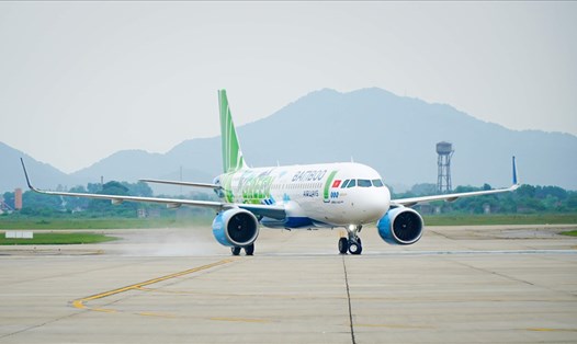 Bộ GTVT đề nghị chỉ định Bamboo Airways bay thường lệ đến Mỹ. Ảnh ĐT