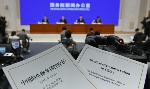 Trung Quốc - quốc gia sắp đảm nhận vị trí chủ tịch COP15 - đã đưa ra các hành động về bảo tồn đa dạng sinh học trong một sách trắng được trình bày vào tuần trước. Ảnh: Tân Hoa Xã