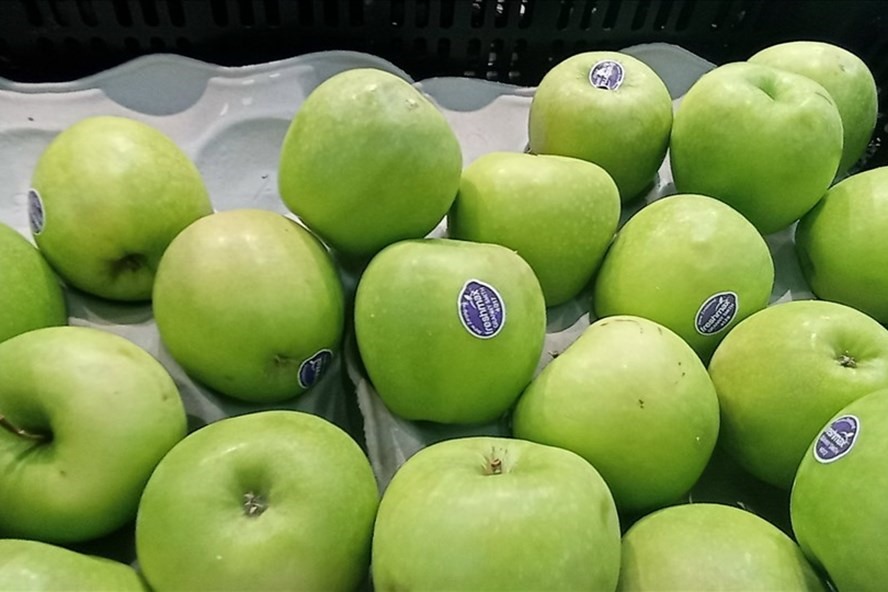 Táo là thực phẩm màu xanh mang lại nhiều lợi ích đối với sức khỏe. Ảnh: Thanh Ngọc