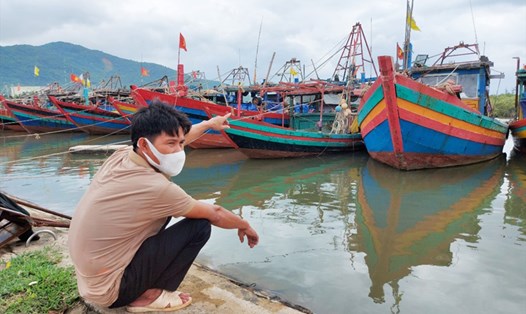 Ngư dân Hồng cũng như nhiều chủ tàu cá ở Hà Tĩnh đã neo đậu tàu thuyền để tránh bão số 8. Ảnh: Trần Tuấn.