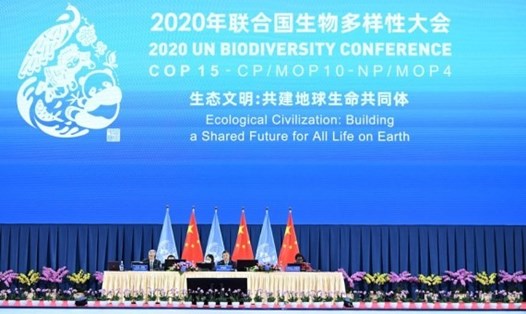 Lễ khai mạc cuộc họp lần thứ 15 của Hội nghị Các bên tham gia Công ước Đa dạng Sinh học của Liên Hợp Quốc (COP15) tại Côn Minh, tỉnh Vân Nam, tây nam Trung Quốc ngày 11.10.2021. Ảnh: Tân Hoa Xã