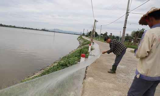 Người dân xã Hộ Độ giăng lưới để bảo vệ ao nuôi trồng thủy sản. Ảnh: Trần Tuấn.