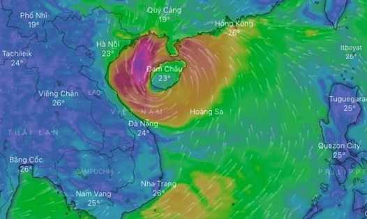 Vị trí của bão số 8. Ảnh: WINDY.