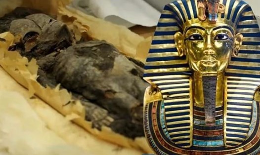 Hai xác ướp Ai Cập bé nhỏ được phát hiện trong lăng mộ Tutankhamun được cho là con gái chưa chào đời của ông. Ảnh: Smithsonian
