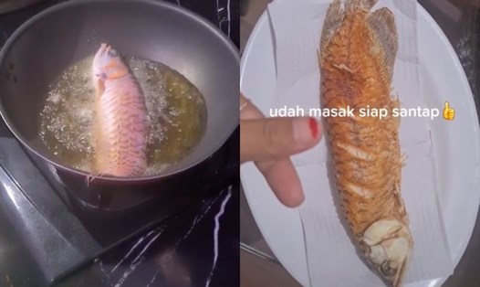 Con cá cảnh đắt giá bị người phụ nữ Indonesia rán. Ảnh chụp màn hình