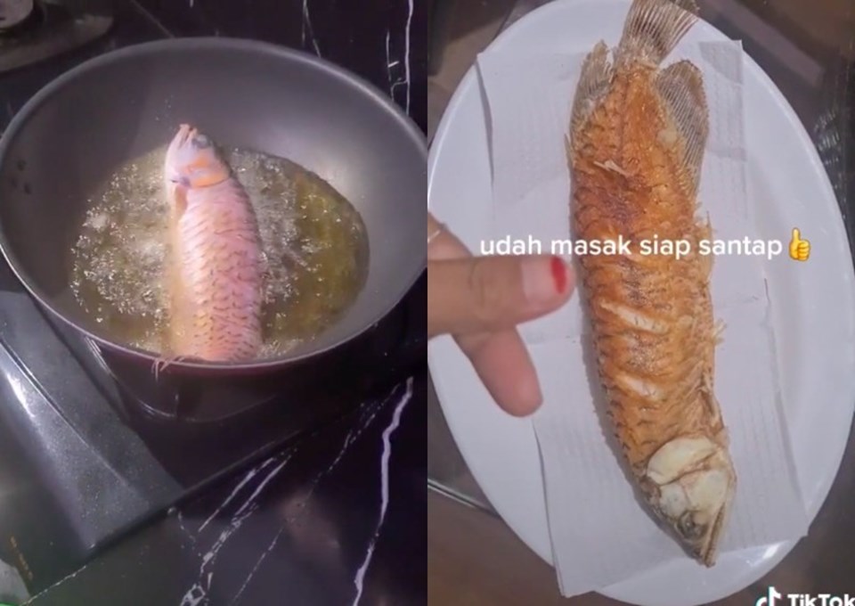 Con cá cảnh đắt giá bị người phụ nữ Indonesia rán. Ảnh chụp màn hình Con cá cảnh đắt giá bị người phụ nữ Indonesia rán. Ảnh chụp màn hình