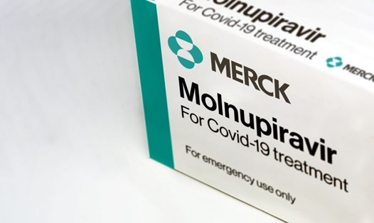 Nhiều nước đang gấp rút đặt mua thuốc Molnupiravir của hãng Merck. Ảnh: Merck