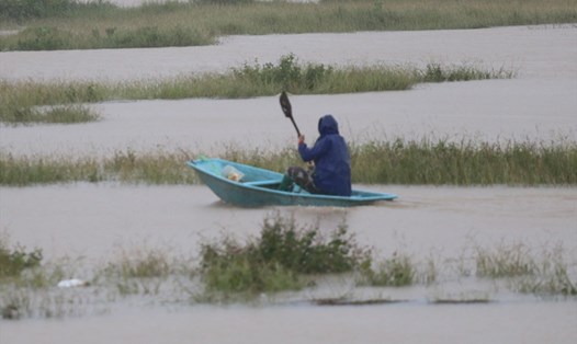 Mưa lụt ở Hà Tĩnh vài ngày qua nên nhiều người dân đi thả lưới bắt cá. Ảnh: Trần Tuấn.