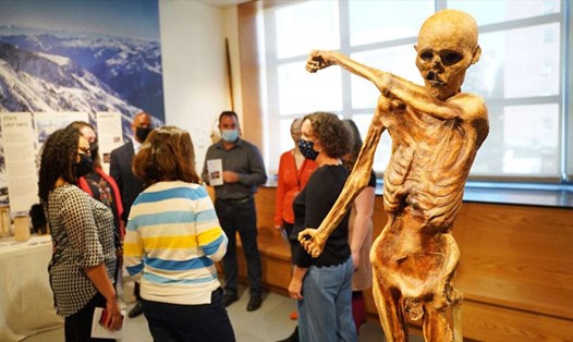 Xác ướp người băng Ötzi có hệ thống hình xăm mang ý nghĩa chữa bệnh và tôn giáo. Ảnh: AFP/Getty