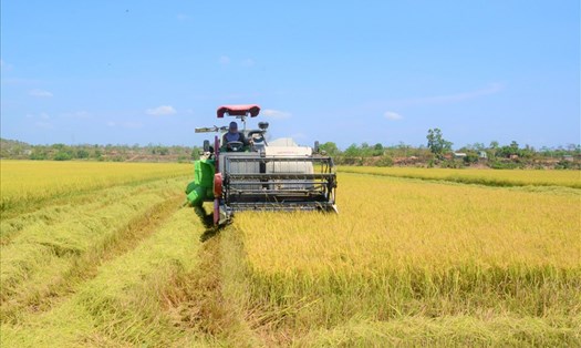Nông dân xã Buôn Chóah sử dụng máy móc vào trồng lúa. Ảnh: Phan Tuấn