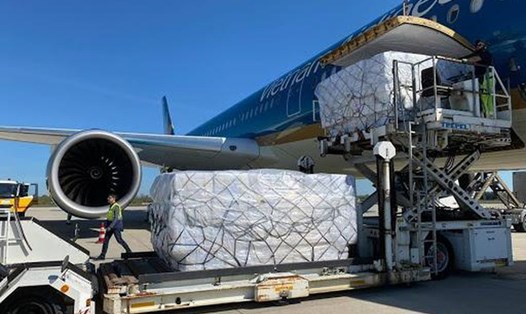 Vận tải hàng hoá bằng đường hàng không. Ảnh GT