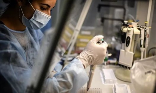 Kỹ thuật viên phòng thí nghiệm giải trình tự bộ gene của virus SARS-CoV-2. Ảnh: AFP
