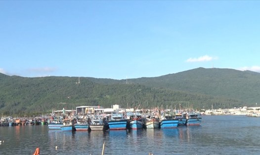 Cảng cá Thọ Quang được hoạt động trở lại, tuy nhiên ngư dân và tiểu thương gặp khăn do một số quy định chưa hợp lý. Ảnh: Thanh Chung