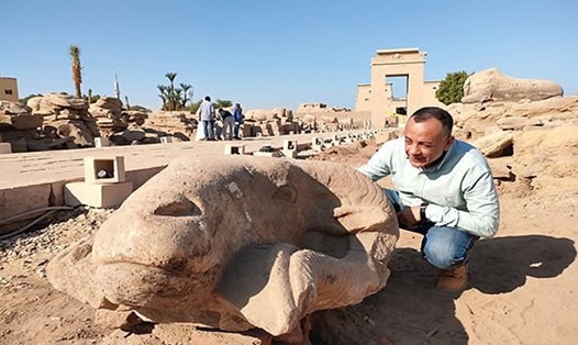 Các bức tượng, vẫn chưa được xác định niên đại, được tìm thấy ở phía nam của đền Karnak. Ảnh: Antiquities of Egypt