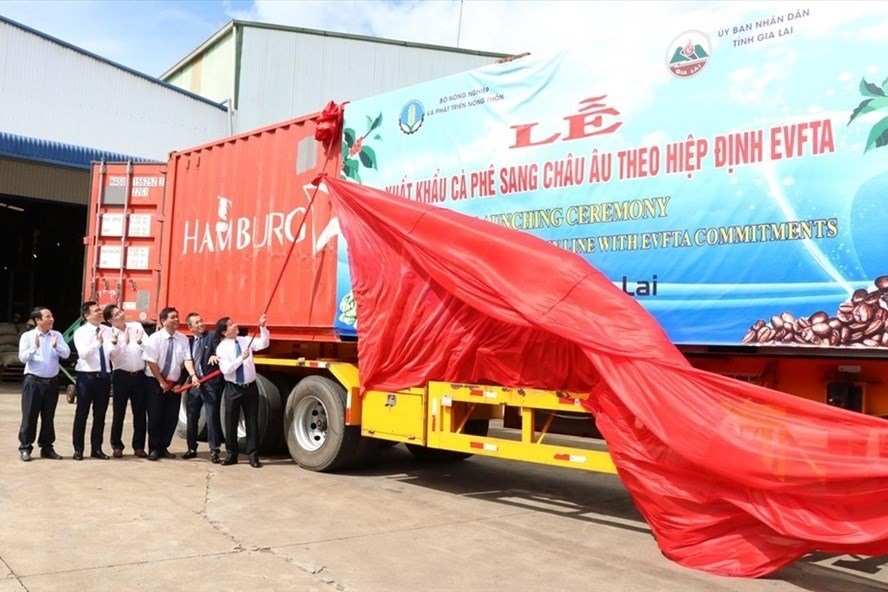 Xuất khẩu nông sản sang EU bật tăng sau khi EVFTA được thực thi. Ảnh: Hồng Điệp