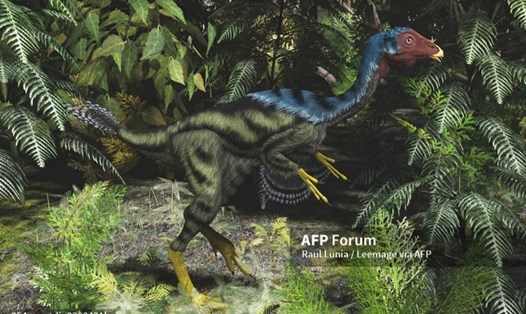 Minh họa Caudipteryx. Ảnh: AFP