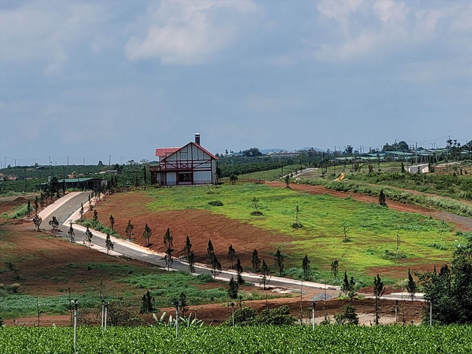 Công an Lâm Đồng đang khám nghiệm hiện trường hiến đất mở đường, phân lô, tách thửa tại TP.Bảo Lộc. Ảnh: TC