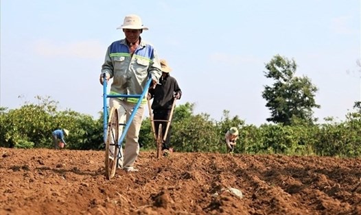 Đất làm trang trại là đất nằm trong nhóm đất nông nghiệp được quy định tại Điều 10 Luật Đất đai 2013. Ảnh: LĐO