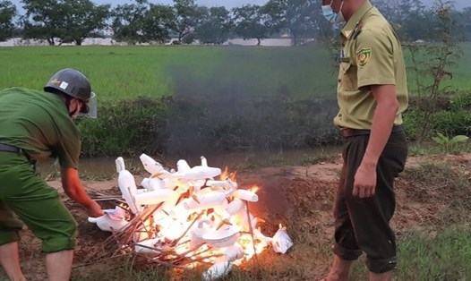 Lực lượng chức năng đốt cò giả ở đồng để bẫy chim trời. Ảnh: CTV