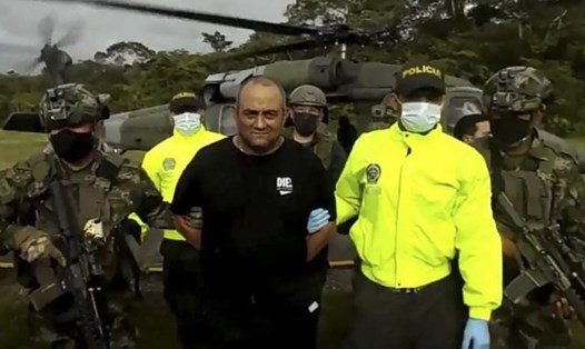 Quân đội và cảnh sát Colombia áp giải trùm ma túy khét tiếng Dairo Antonio Usuga. Ảnh: AFP