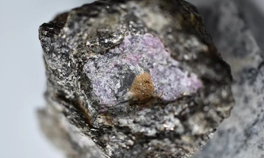 Nghiên cứu mới phát hiện những dấu vết của sự sống cổ đại đã bị khóa bên trong một viên ruby (hồng ngọc) ​​2,5 tỉ năm tuổi từ Greenland. Ảnh: Đại học Waterloo