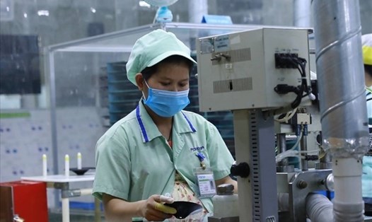Lâm Đồng chi hỗ trợ 150 tỉ cho 61.000 lao động bị ảnh hưởng bởi COVID. Ảnh Hai Nguyen