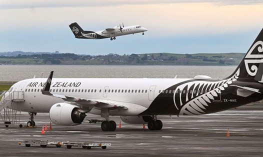 Thời gian mà du khách phải cách ly tại New Zealand sẽ giảm một nửa từ 14 ngày xuống còn 7 ngày. Ảnh: AFP