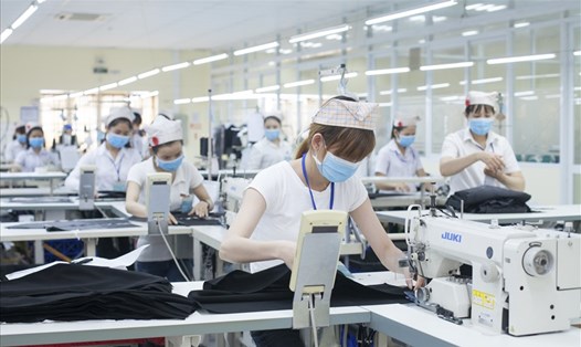 Công nhân làm việc tại một khu công nghiệp ở Khu kinh tế Nhơn Hội, Bình Định. Ảnh NGUYỄN DŨNG
