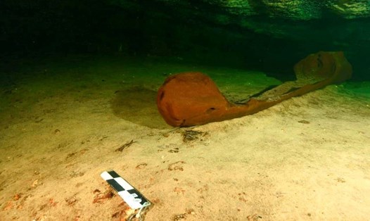 Chiếc xuồng cổ bằng gỗ hơn 1.000 năm tuổi từ thời Maya được các nhà khảo cổ phát hiện gần như nguyên vẹn trong một hồ nước ngọt ở Mexico. Ảnh: INAH