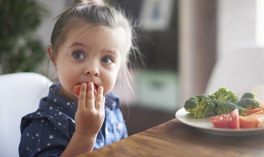 Hãy để trẻ tự chọn loại rau yêu thích để các bé hứng thú hơn khi thưởng thức. Ảnh: Xinhua
