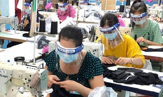 LĐLĐ tỉnh Trà Vinh kêu gọi người lao động tích cực tham gia sản xuất "3 tại chỗ".