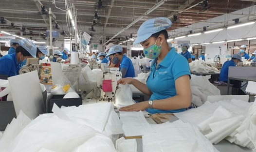 Các doanh nghiệp ở Quảng Nam đang tuyển hơn 4.000 lao động. Ảnh: Thanh Chung