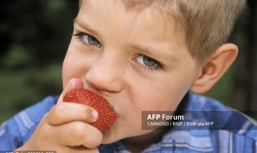 Một chế độ ăn uống nhiều trái cây tươi và rau củ rất tốt cho sức khỏe tâm thần của trẻ em. Ảnh: AFP