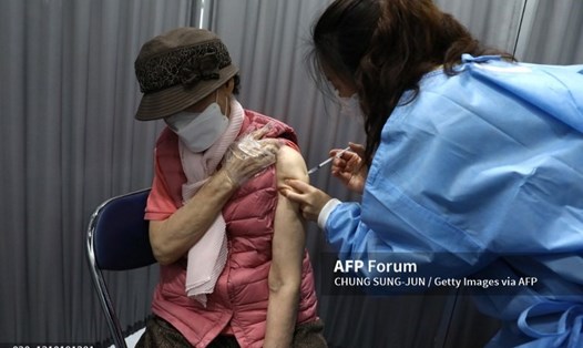 Nhân viên y tế tiêm vaccine Pfizer cho một phụ nữ cao tuổi ở Hàn Quốc. Ảnh: AFP
