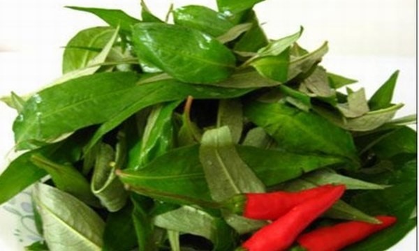 Rau răm có nhiều tác dụng bất ngờ đối với sức khoẻ con người.