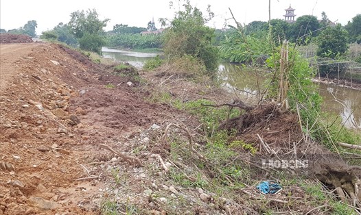 Thân đê hữu sông Đáy đoạn qua địa bàn xã Hồi Ninh, huyện Kim Sơn, (Ninh Bình) xuất hiện nhiều đoạn sạt lở. Ảnh: NT