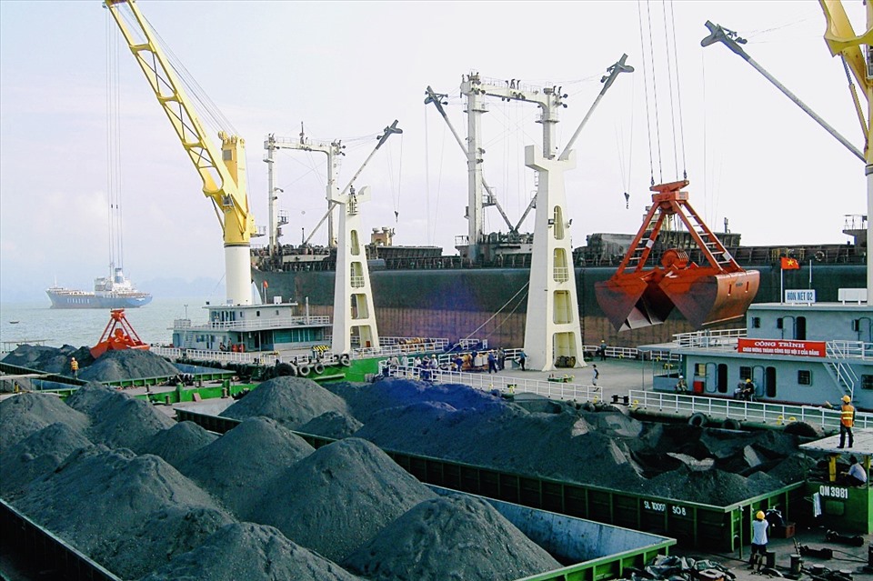 Than bóc rót, vận chuyển đi tiêu thụ tại Công ty kho vận và cảng Cẩm Phả (Quảng Ninh). Ảnh: CTV