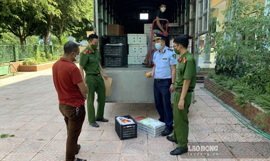 Công an huyện Mường La, Sơn La vừa phát hiện, bắt giữ xe tải chở hoa quả không có nguồn gốc xuất xứ. Ảnh: Minh Nguyễn.