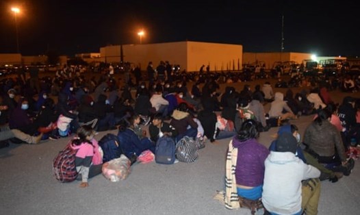 Cảnh sát Mexico đã phát hiện hàng trăm người di cư Trung Mỹ trong ba xe tải đông lạnh. Ảnh: Seguridad Publica de Tamaulipas