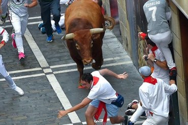 Lễ hội đua bò ở Tây Ban Nha. Ảnh: Getty