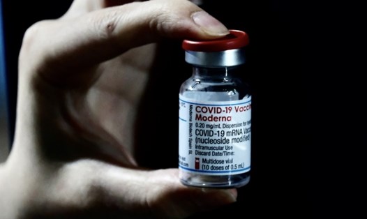 Vaccine COVID-19 của công ty Moderna. Ảnh: AFP