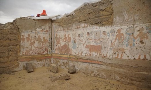 Bức vẽ trên tường mộ cổ Ai Cập tại nghĩa địa Saqqara, phía nam Cairo. Ảnh: Bộ Du lịch và Cổ vật Ai Cập