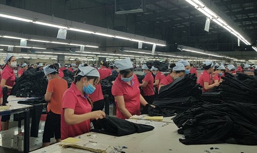 Cuối năm, nhu cầu tuyển dụng lao động của các công ty, doanh nghiệp trên địa bàn tỉnh Ninh Bình tăng cao. Ảnh: NT