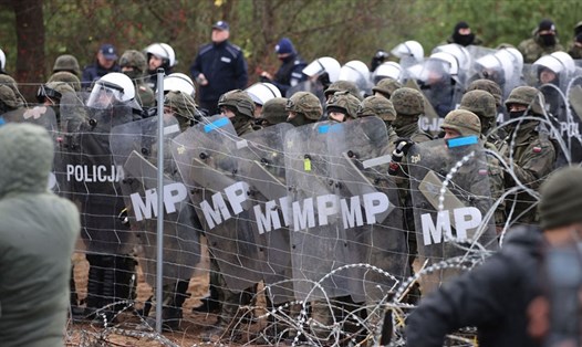 Lực lượng an ninh đối phó với người di cư ở biên giới Belarus-Ba Lan. Ảnh: AFP