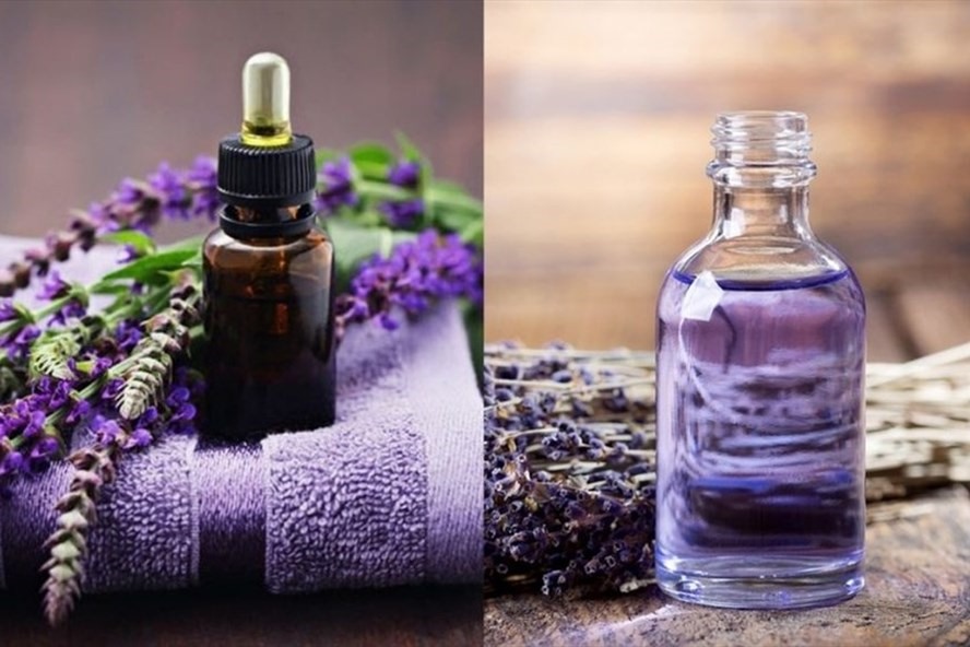 Tinh dầu hoa oải hương mang lại nhiều lợi ích đối với sức khỏe. Đồ họa: Thanh Ngọc