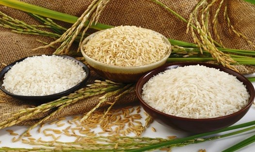 Hãy bảo quản đúng cách để tránh gạo bị mốc. Ảnh: Xinhua