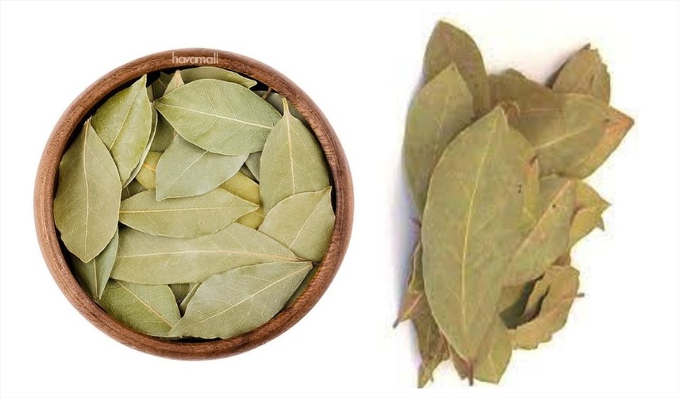 Lá nguyệt quế mang lại nhiều lợi ích cho người bệnh tiểu đường. Đồ họa: Thanh Ngọc